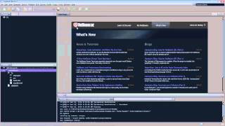 Using GitHub in NetBeans IDE