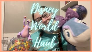 Walt Disney World Haul (January 2025)