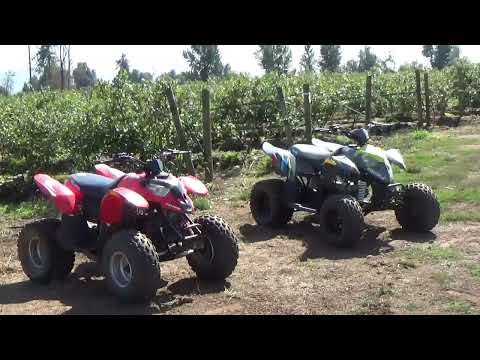 What age is a 90cc quad for?
