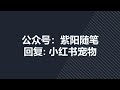 实测日入800的项目小红书宠物赛道配合私域转化玩法，适合新手小白操作，简单无脑