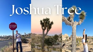 [4K] Joshua Tree National Park 🏜 ️ | Joshua Tree National Park Point Recommendation 🌵