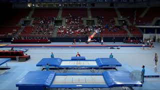 SONN Kyrylo (GER) - 2017 Trampoline Worlds, Sofia (BUL) - Qualification Trampoline Routine 2