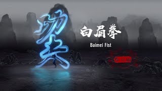 Chinese ancient martial art: Baimei Fist