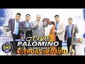 PASTOR CESAR PALOMINO / CUERDAS DE DAVID / PARTE 2 EN VIVO PRIMICIA 2022