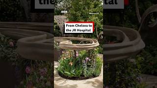 From Chelsea to the JR Hospital