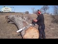 Extreme Dangerous Logging Wood Chainsaw Skill Machines, Heavy Biggest Over Truck Operator Fastest