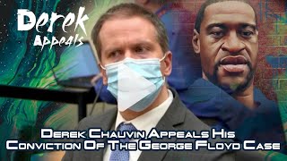 Demetra- Derek Chauvin Appeals His Conviction Of The George Floyd Case