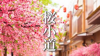 桜小道【ゆったり癒しBGM】美しく切ない、心にしみるノスタルジックな音楽