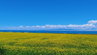 Qinghai Lake