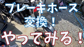 【バイク整備】XR100Mのブレーキホース交換【素人】