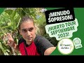 ¡Menuda sorpresa! Huerto Tour Septiembre 2023 con sorpresa Tropical