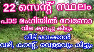 22 സെന്റ് സ്ഥലം പാടത്തോട് ചേർന്ന് വീട്‌ വെക്കാൻ അനുയോജ്യമായ സ്ഥലം തേക്ക് മരം👌#realestatekerala