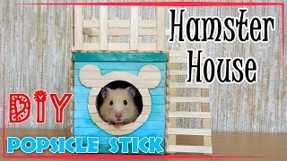 DIY Hamster House.  Popsicle stick hamster house.