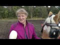 rtvsternet 20161022 ploegen met paarden