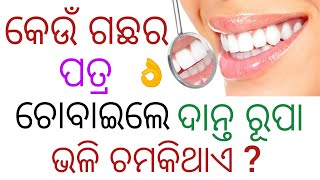 General knowledge part - 64 || odia gk Quiz video || odia online dhago damali video