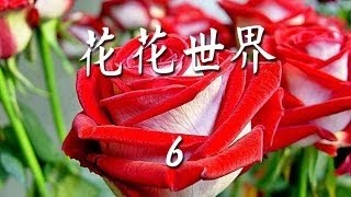 花花世界《 6 》情境音樂