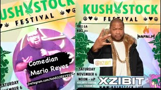 KUSHSTOCK 2021