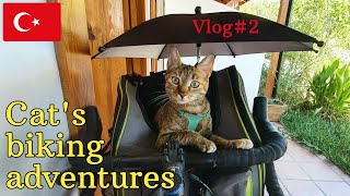 Nala cat's world adventures 🇹🇷 VLOG#2