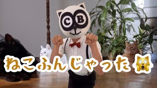 【童謡ダンス】ねこふんじゃった【踊って！クリ坊さん】