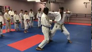 Shuto uchi Part 2, Shane Dorfman Sensei 7th Dan, 8-time World Champion