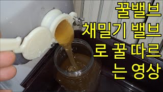 꿀밸브 채밀기 밸브로 꿀 따르는 영상