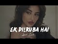 Ek Dilruba Hai (Slowed & Reverb)| Bewafaa|Akshay, Kareena|Udit Narayan|Mera Dil Jis Dil Pe Fida Hai