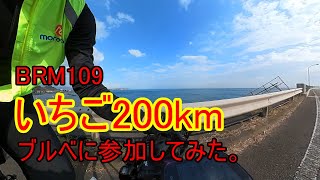 BRM109　いちご200kmブルベ参加してきました。