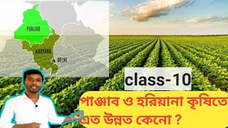 পাঞ্জাব ও হরিয়ানার কৃষি উন্নতির কারণ।কেন পাঞ্জাব ও হরিয়ানা কৃষিতে এত উন্নত @bgmasterguide9547