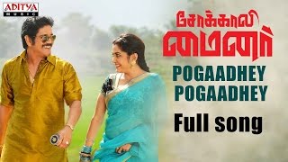 Pogaadhey Pogaadhey Full Song |Sokkali Mainor Tamil Dubbed|Nagarjuna,Ramya Krishnan,Lavanya