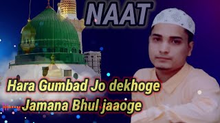 Hara Gumbad Jo dekhoge Jamana Bhul jaaoge | heart touching Naat 💗|NAAT Store
