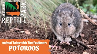 ANIMAL TALES WITH TIM FAULKNER | EPISODE 20 | POTAROO!