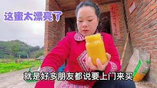 老乡过来买蜂蜜，秋子和丫头哥抬出一缸结晶蜜，装瓶遇到大困难【乡野丫头】