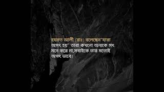 হযরত আলী (রা:) বলেছেন যারা অসৎ হয় তারা কখনো অন্যকে সৎ মনে করে না, সবাইকে তার মতো অসৎ ভাবে