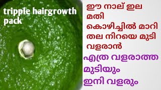 ഒരാഴ്ചകൊണ്ട്  തല നിറയെ പുതിയ മുടി മുളക്കും.. നല്ല കട്ട കറുപ്പോടെ നീണ്ടു വളരാൻ ഇതു മാത്രം മതി..