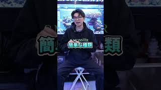 アクアリウム初心者におすすめのサンゴランキングTOP3