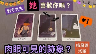 🐈‍⬛🎃【對方女生】她喜歡你嗎❓有肉眼可見的跡象嗎❓🤣｜喵黛麗塔羅Meowdrey （自動上傳，時間軸在影片說明）