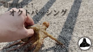 超簡単！オクトパッシングでタコを釣ろう！