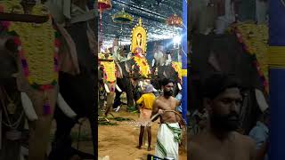 2025 പുത്തുക്കാവ് താലപ്പൊലി പൂരം കൊടകരPuthukkavu Thaalappoli Pooram Kodakara |