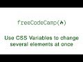 Basic CSS - Use CSS Variables to change several elements at once - freeCodeCamp