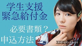 【学生支援緊急給付金】申請方法は？必要書類は？/the government support for sutudent in japan