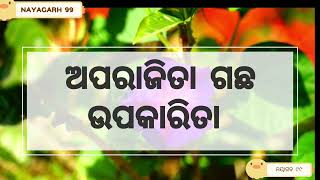 ଅପରାଜିତା ଗଛ ଉପକାରିତା (APARAJITA GACHH UPAKARITA) NAYAGARH 99 OFFICIAL