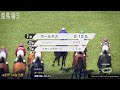 エリザベス女王杯2024 枠順確定後ウイポシミュレーション【競馬予想】【展開予想】レガレイラ ホールネス スタニングローズ シンリョクカ シンティレーション ハーパー サリエラ コスタボニータ