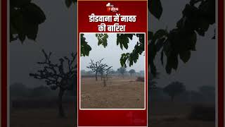 Mavath Rain In Rajasthan: डीडवाना में मावठ की बारिश | Frost | Fog In Didwana | Winter Season