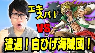 トレクル！遭遇白ひげ海賊団！エキスパ！初見赤髪・黒衣シャンクスパで挑む！ONE PIECE