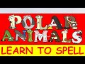 Learn to Spell Polar Animals with Alphabetimals | Polar Animal flashcards | English Vocabulary words