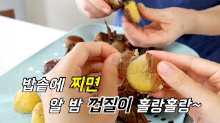 알밤 밥솥에 찌면 알맹이만 쏙~ 밤껍질이 홀랑홀랑 벗겨져요.