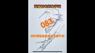 083跟着石老师来学画（动物钢笔画）