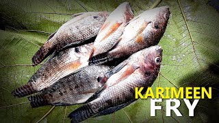 Karimeen Fry / കരിമീൻ പൊരിച്ചത് / Karimeen Fry Recipe Malayalam