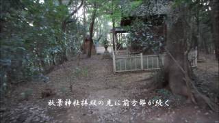 膳所茶臼山古墳　２（前期）（滋賀県）Zezechausuyama Tumulus　２(Shiga Pref.)