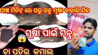 ପାଞ୍ଚ ମିନିଟ୍ ରେ ଘରୁ ମୂଷା ବାହାର କରନ୍ତୁ#varial #tranding #priyankanarottamlifestyle#minivlog